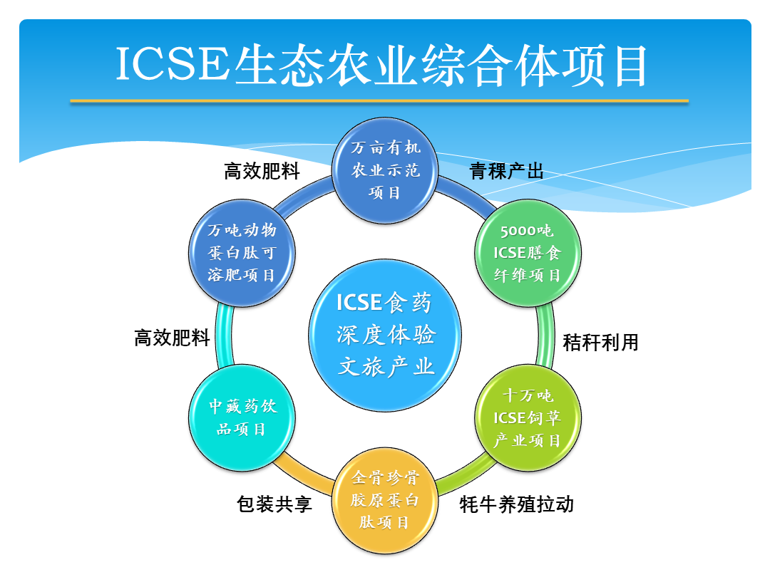 图片B.png