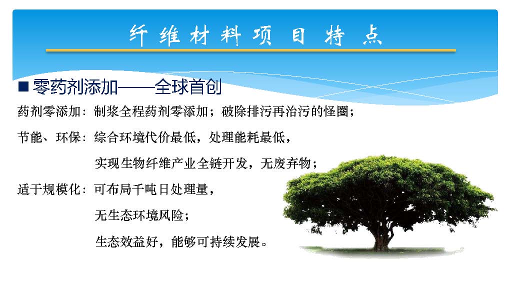 芦竹产业40万吨_页面_16.jpg