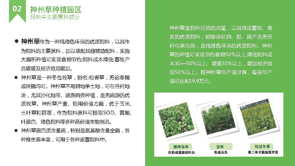 科尔沁育肥生态园区方案_页面_08.jpg
