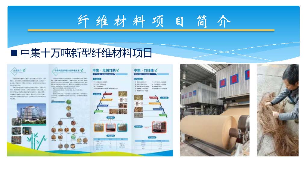 芦竹产业40万吨_页面_14.jpg