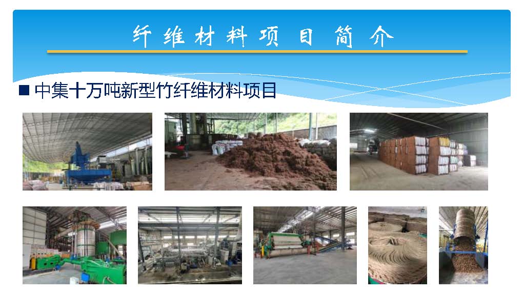 芦竹产业40万吨_页面_13.jpg