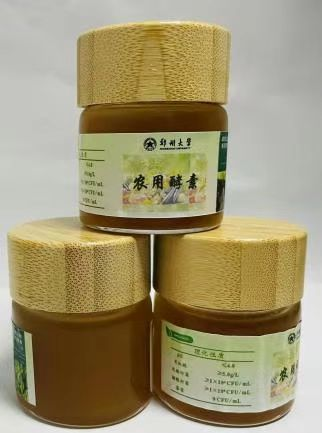 图片 7.png